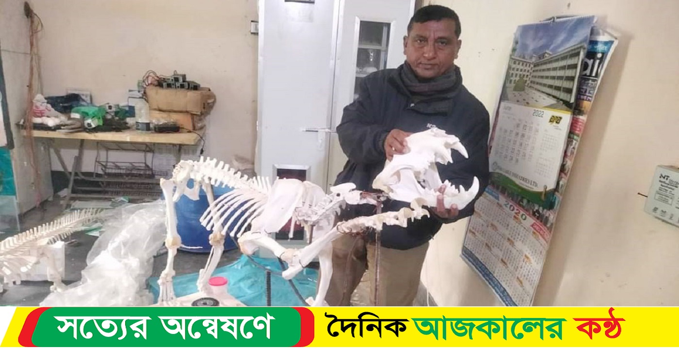 বাঘের দেশে বাঘই কঙ্কাল 