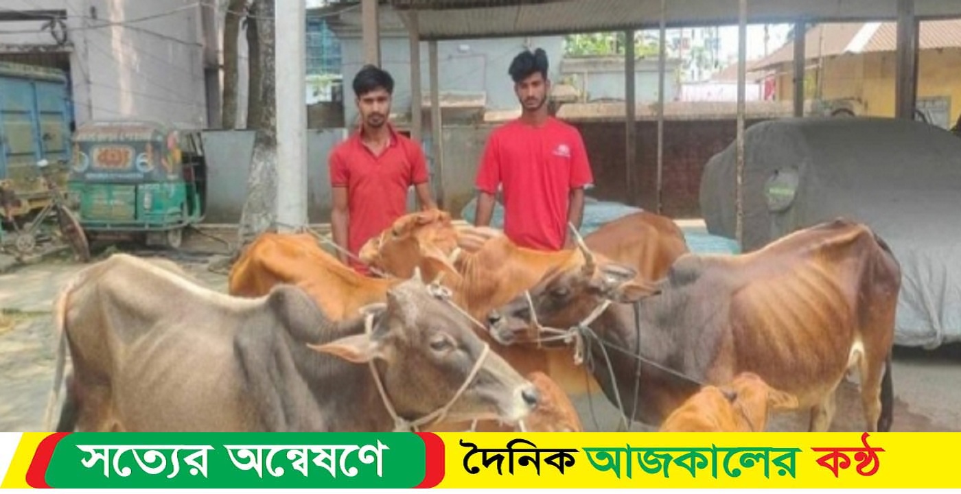 পুলিশ অভিযান চালিয়ে ২ গরু চোরকে গ্রেপ্তার, ৫ টি গরু উদ্ধার