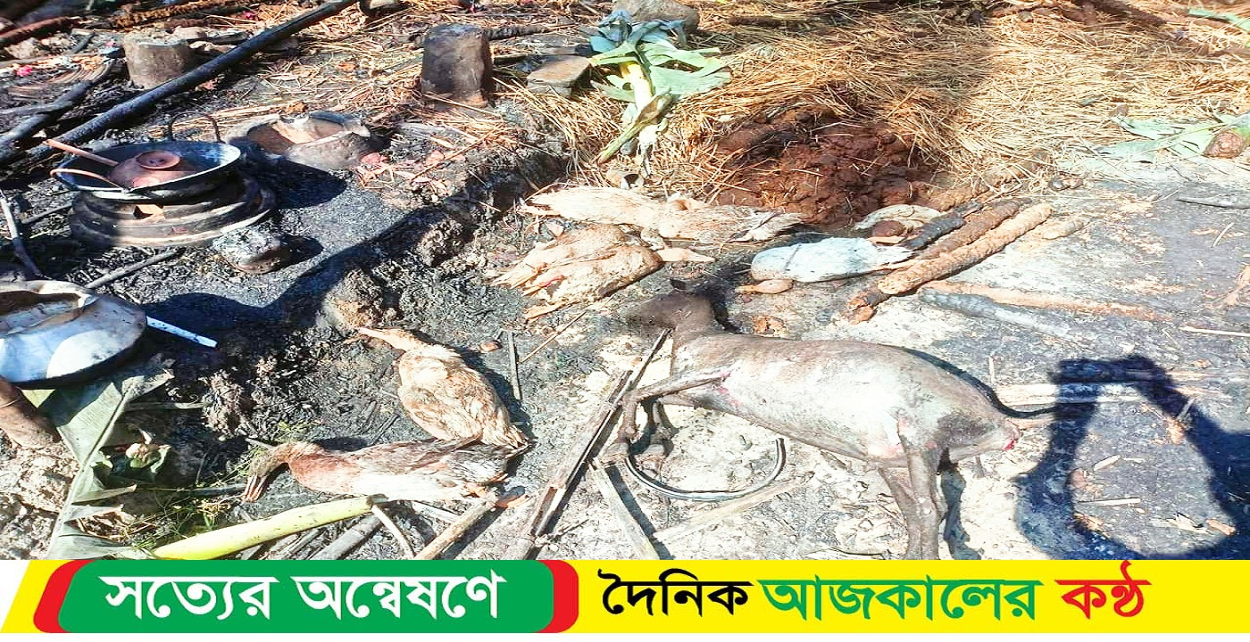 নড়াইলে কয়েলের আগুনে ভ্যানচালকের ৩ ঘর পুড়ে ছাই, ২লাখ টাকার ক্ষয়ক্ষতি