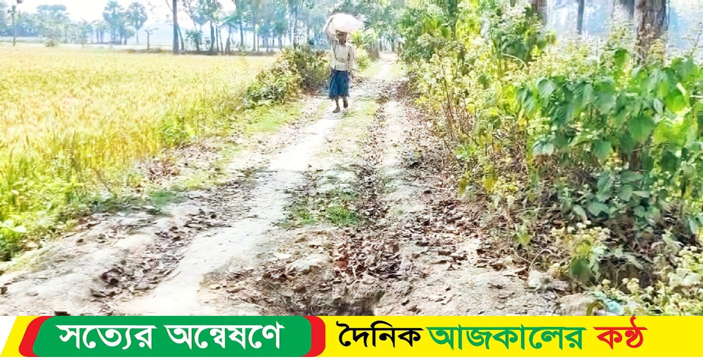 নড়াইলে সরকারি প্রকল্প কাবিখা রাস্তা সংস্কার কাজে নয় ছয়