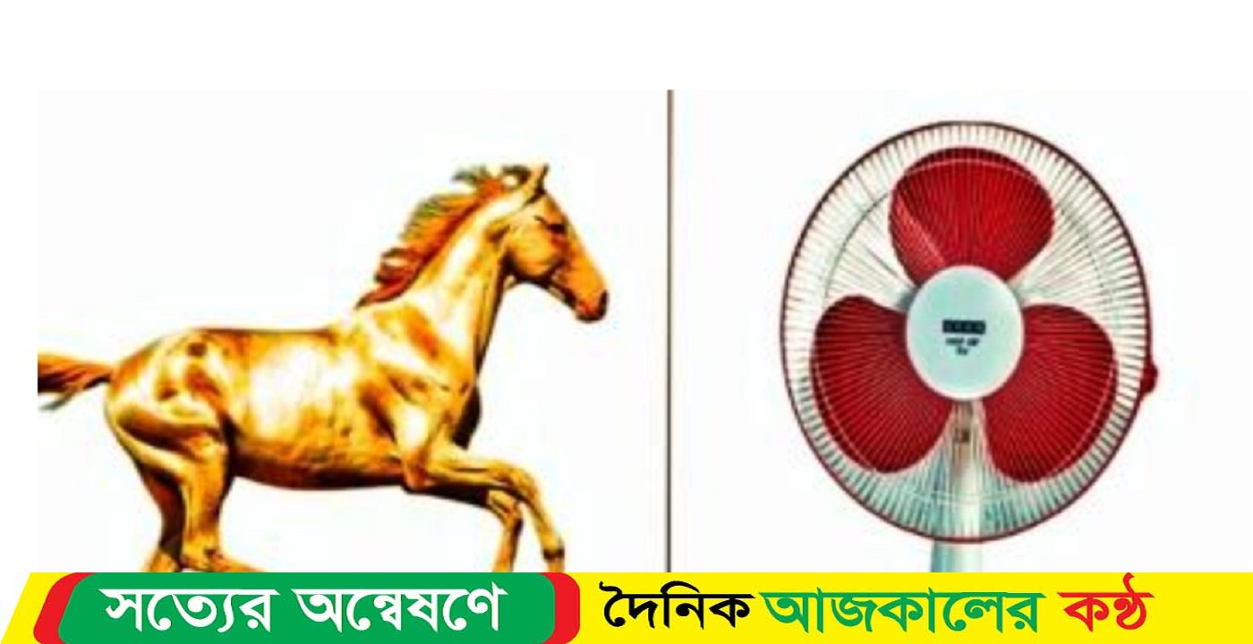 নেত্রকোণার ইউনিয়ন পরিষদ উপ নির্বাচনে বিজয়ী বাতেন-মিলন