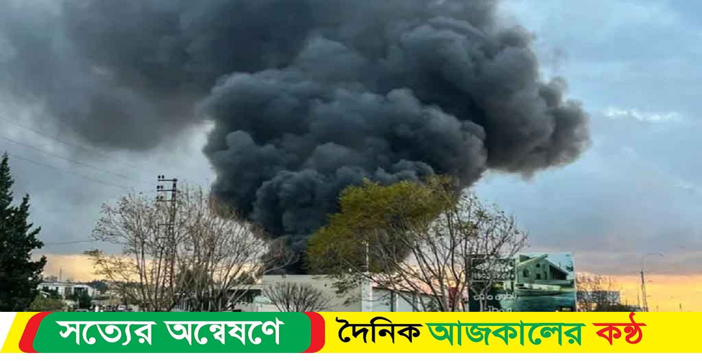 অন্তঃসত্ত্বা নারীসহ নিহত ৫