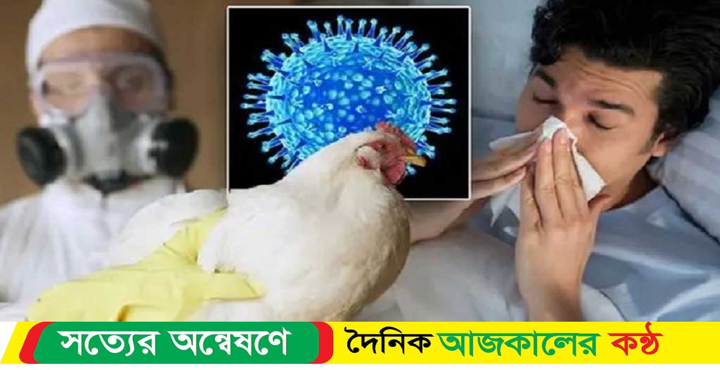 ইনফ্লুয়েঞ্জা জাতীয় একটি রোগ