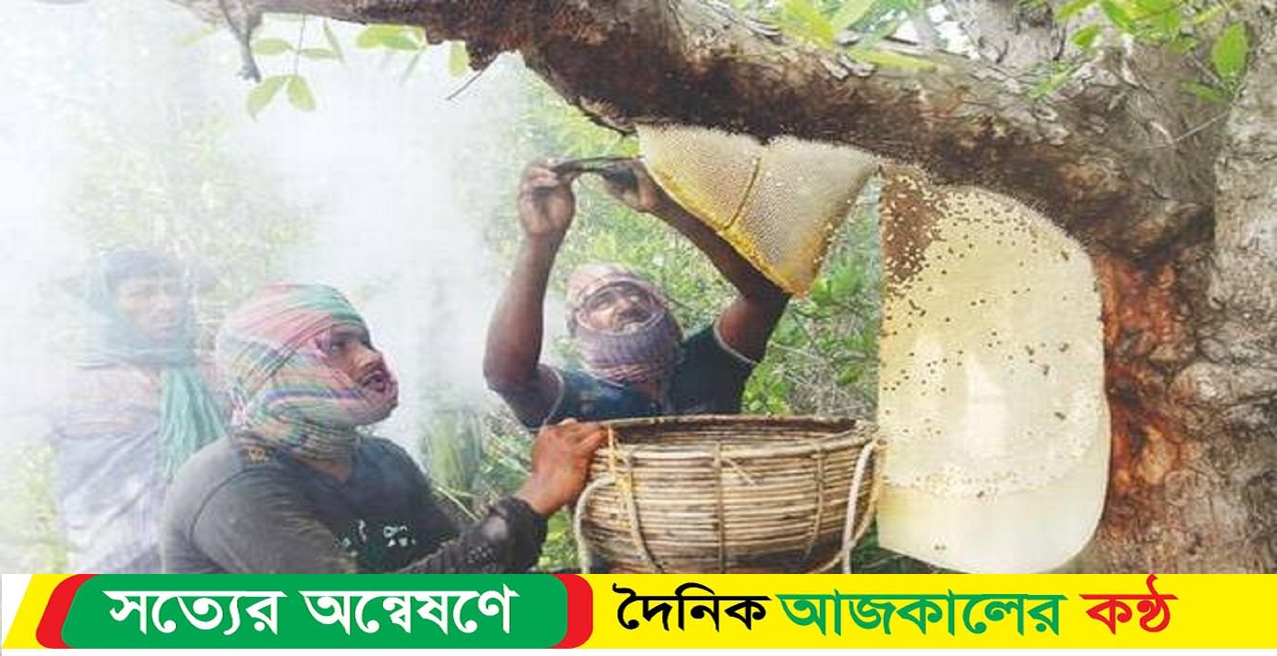১ এপ্রিল থেকে সুন্দরবন যাবেন মৌয়ালরা