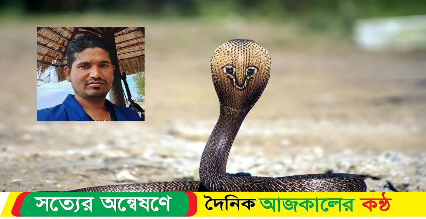 ভেদরগঞ্জে বিষধর একটি সাপ ছোবলে এক যুবকের মৃত্যু হয়েছে
