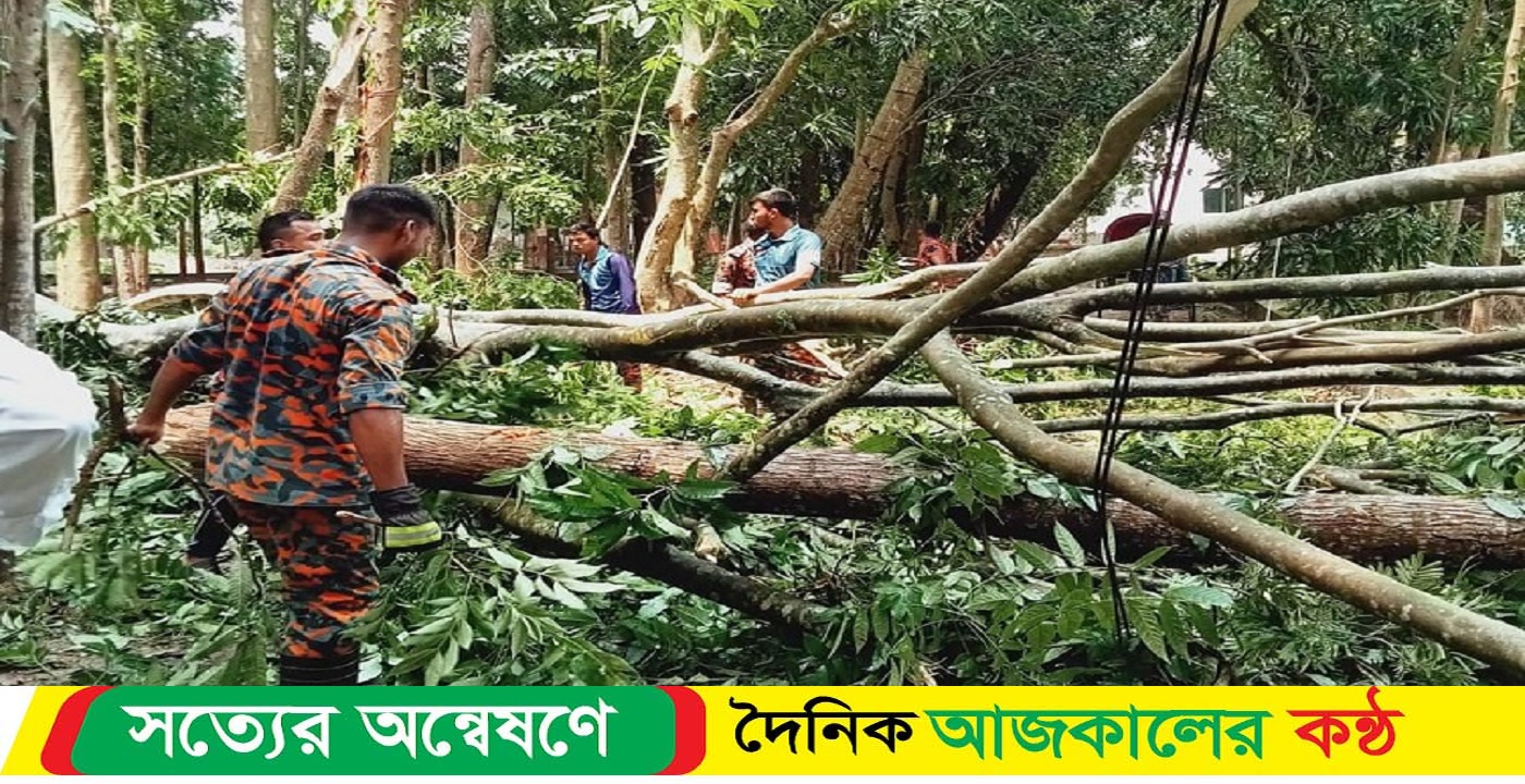 শরীয়তপুর জেলায় বয়ে যাওয়া কাল বৈশাখী ঝড়ে ব্যাপক ক্ষয়ক্ষতি