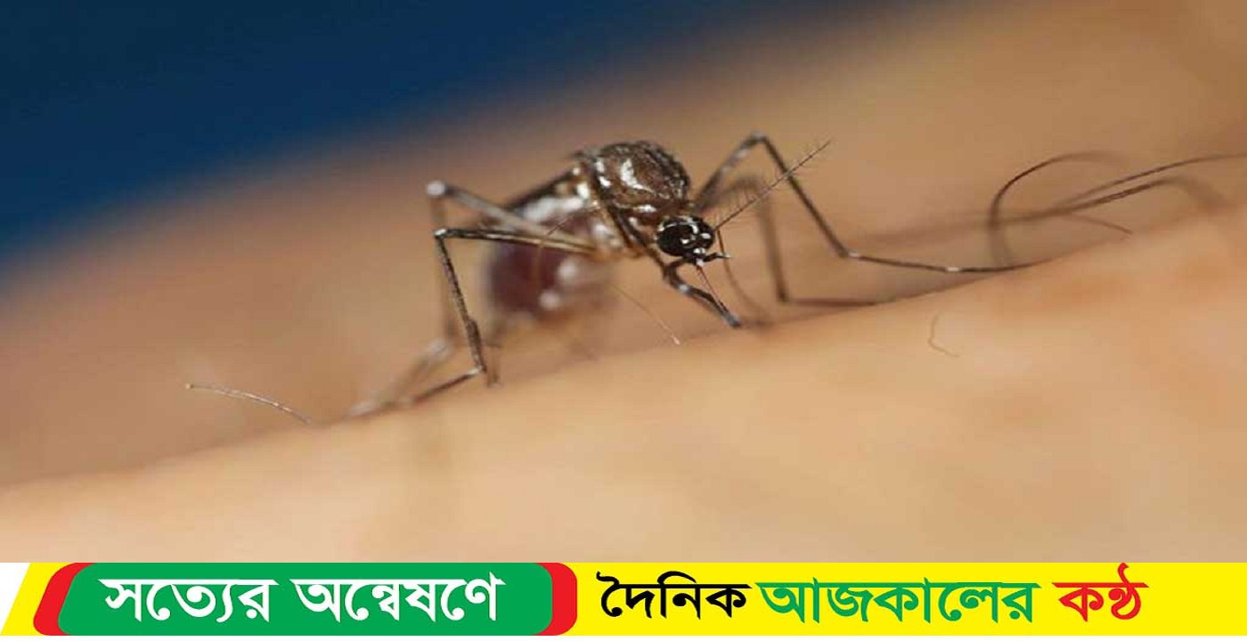 পশ্চিমবঙ্গ ডেঙ্গু পরিস্থিতি নিয়ন্ত্রণে প্রস্তুতি নিচ্ছে