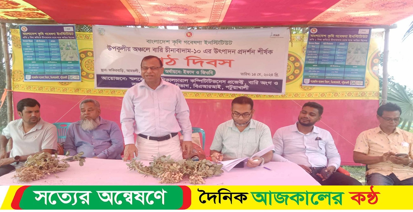 আমতলীতে চিনাবাদাম চাষ সম্প্রসারণ বিষয়ক মাঠ দিবস অনুষ্ঠিত