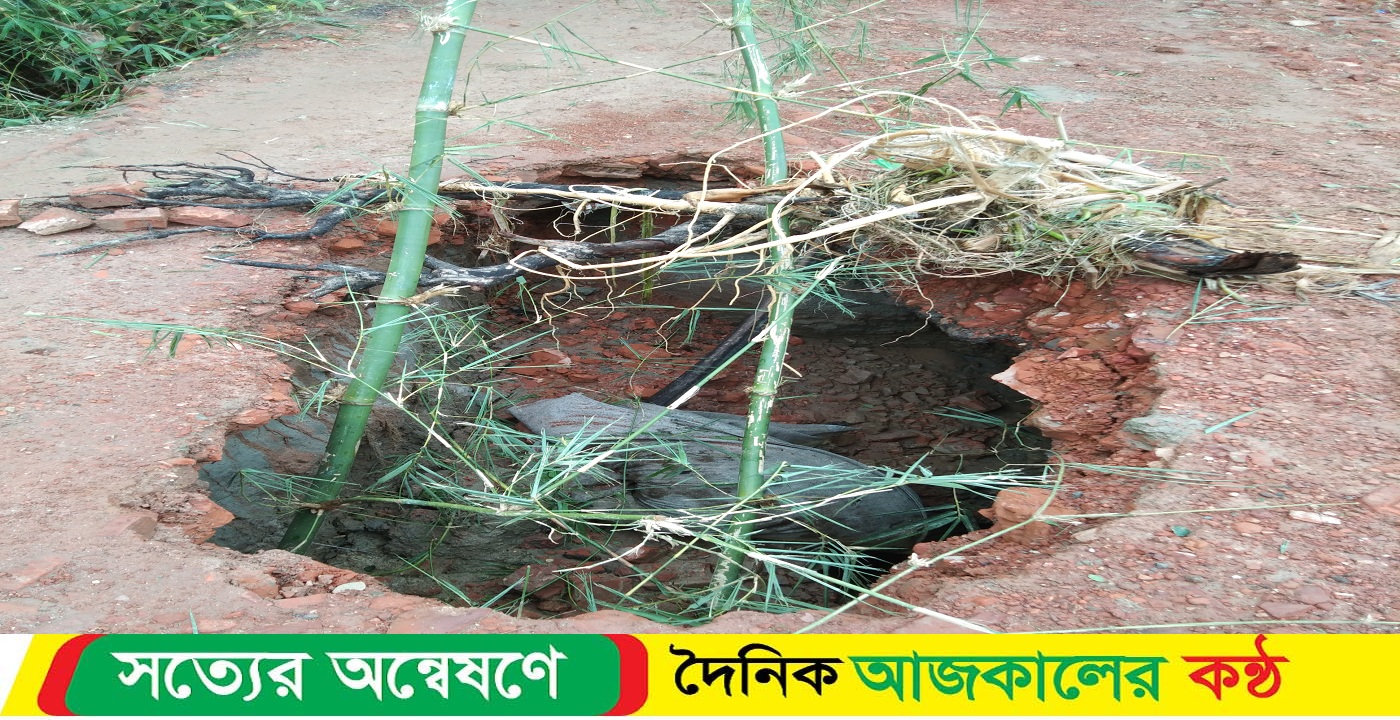 ঘূর্ণিঝড় রেমালের তান্ডবে বামনায় ব্যাপক ক্ষয়ক্ষতি হয়েছে