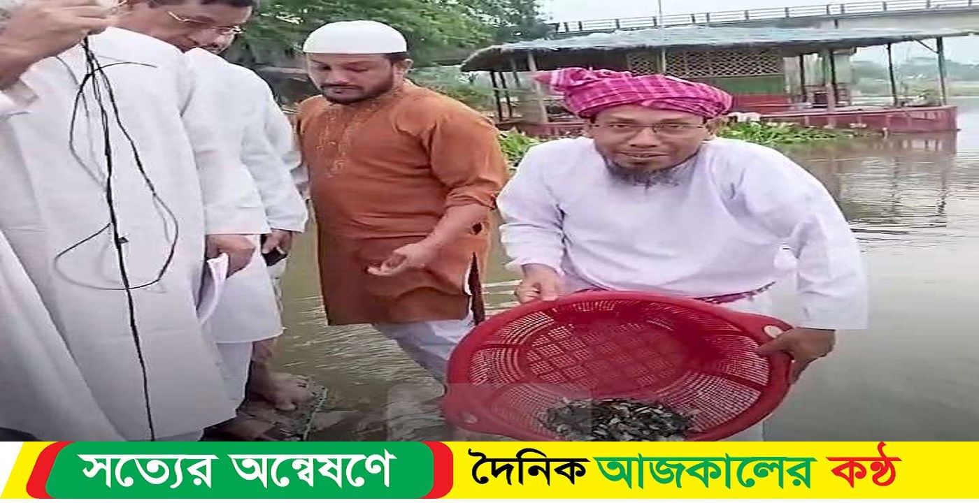 হোমনায় নদীতে ২০ হাজার মাছের পোনা অবমুক্ত