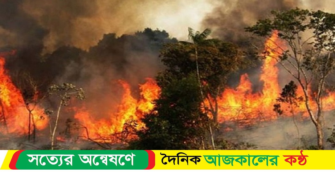 শুরু হয়নি নেভানোর কাজ, জ্বলছে সুন্দরবন