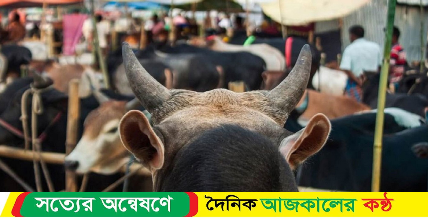 কোরবানির পশুর হাট যেসব স্থানে বসবে