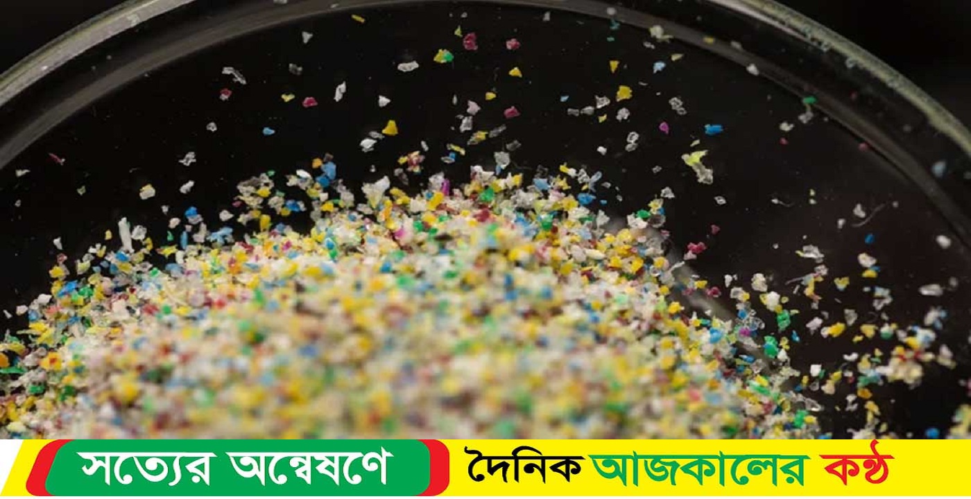 মানুষের অণ্ডকোষে মিলল মাইক্রোপ্লাস্টিক