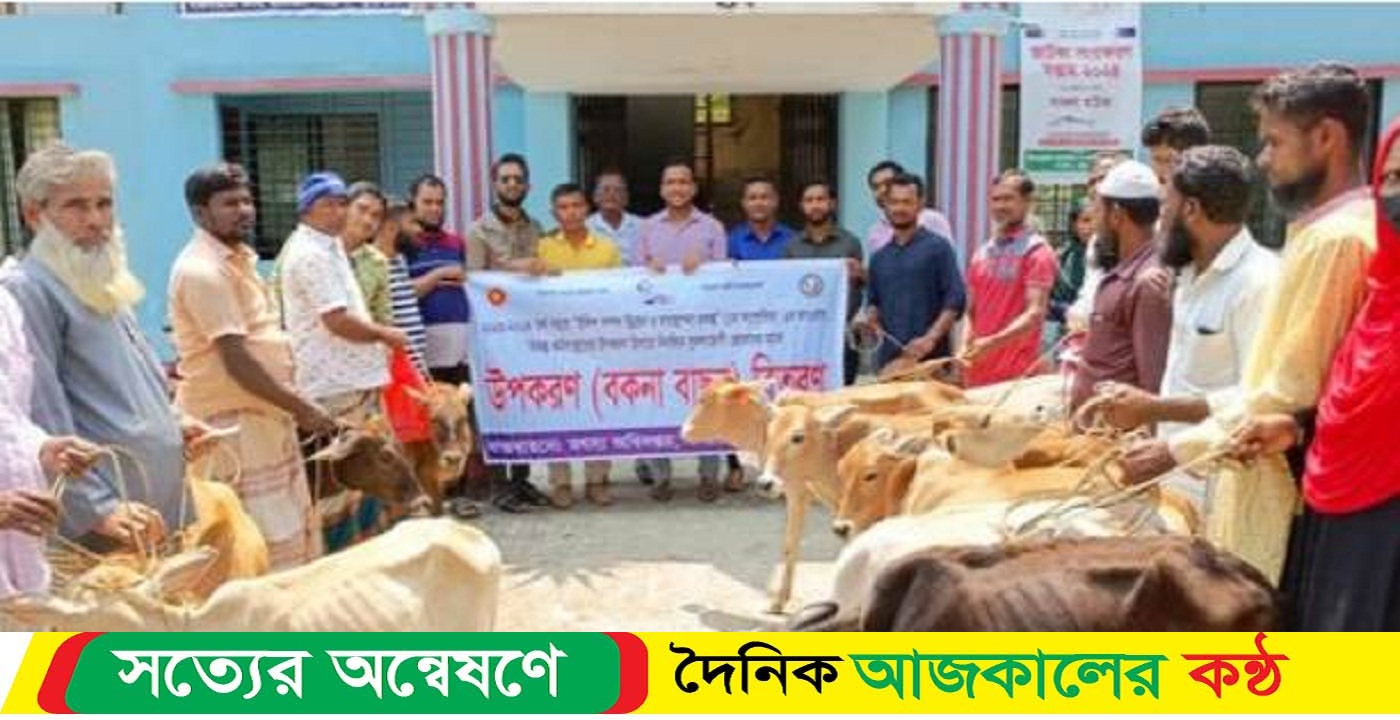 গলাচিপায় জেলেদের মাঝে বকনা বাছুর বিতরণ