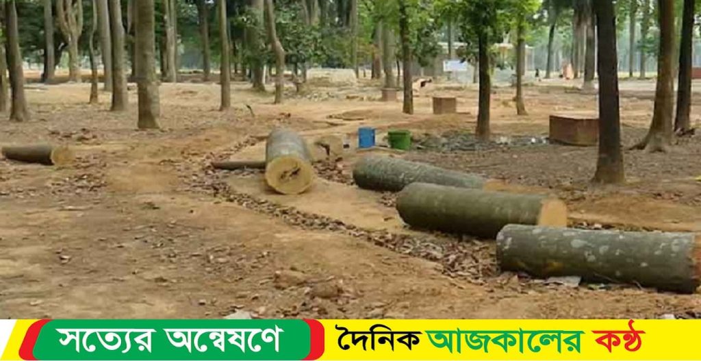 সারাদেশে গাছ কাটা বন্ধে রিট