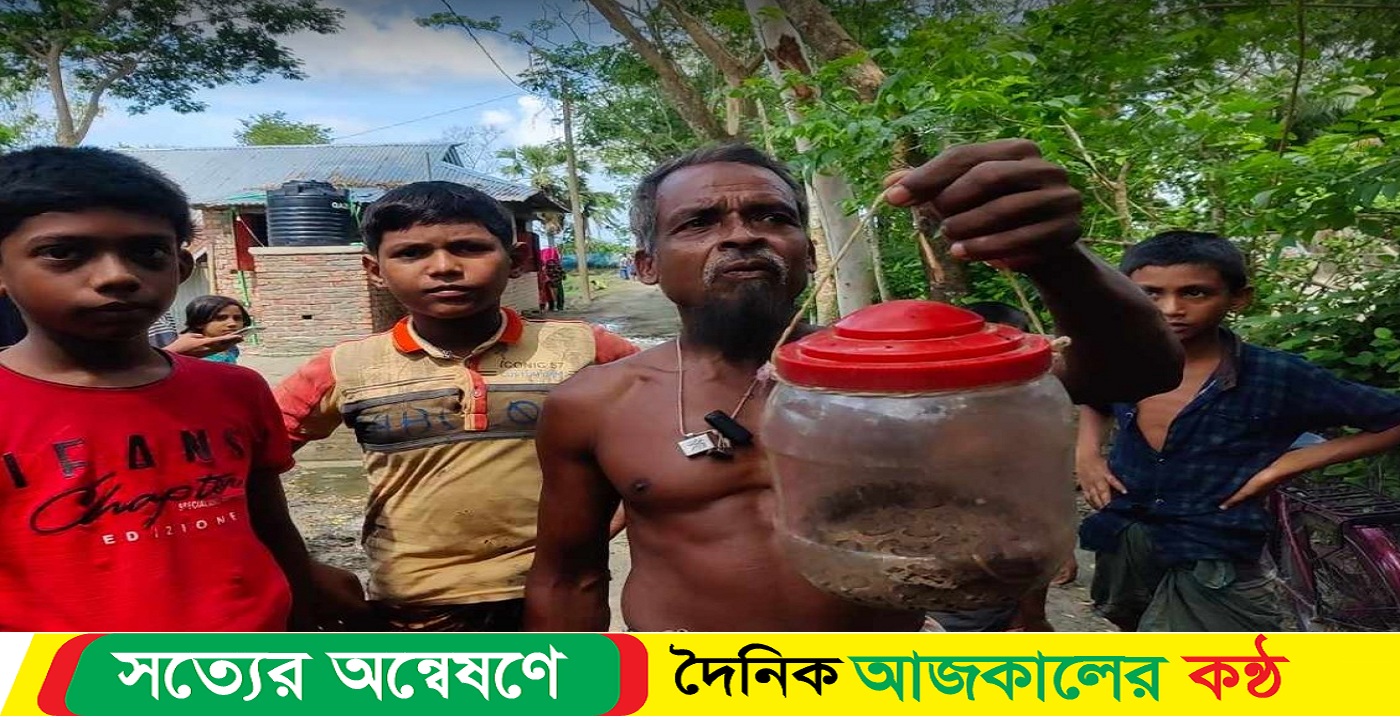 রাসেলস ভাইপার কৃষকের জালে, কলাপাড়ায় আতঙ্ক