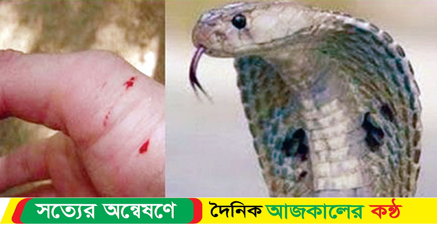 বামনায় বিষাক্ত সাপের কামড়ে গৃহবধূর মৃ-ত্যু