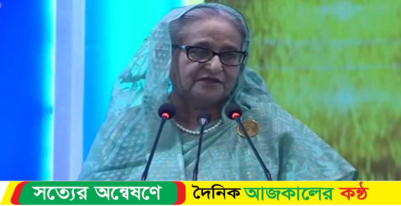 পরিকল্পিতভাবে কাজ করায় দেশের অর্থনীতি এখন শক্তিশালী: শেখ হাসিনা