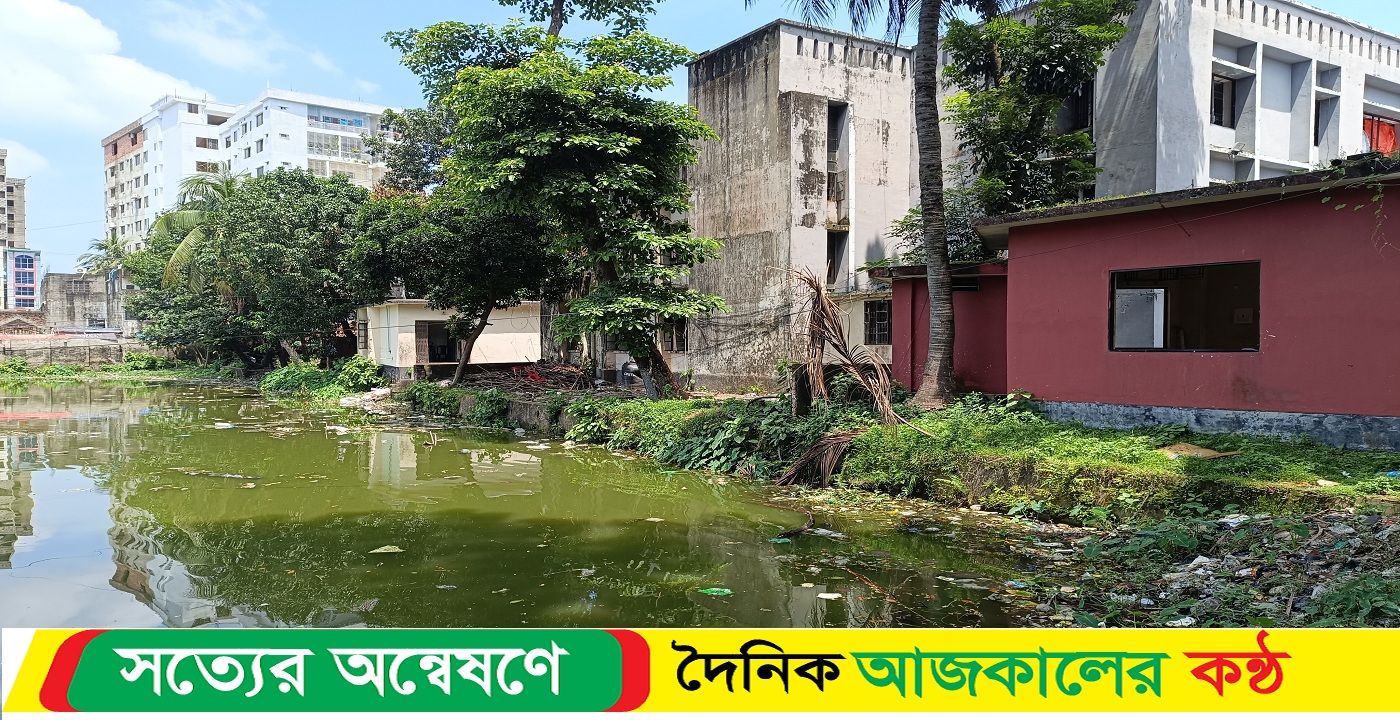 ব্রাহ্মণবাড়িয়ায় থানা পুকুরে ঝাঁপ দিয়ে অটোরিক্সা চালকের মৃত্যু
