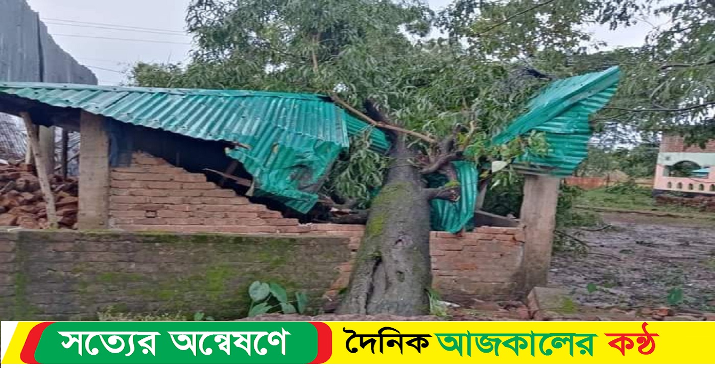 টেকনাফে তীব্র বাতাসে গাছ উপড়ে ক্ষতিগ্রস্ত বসতবাড়ি সহ বৈদ্যুতিক খুঁটি