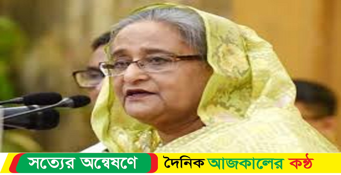 আমি নিজ থেকে পদত্যাগ করেছি এবং সরে গেছি : শেখ হাসিনা