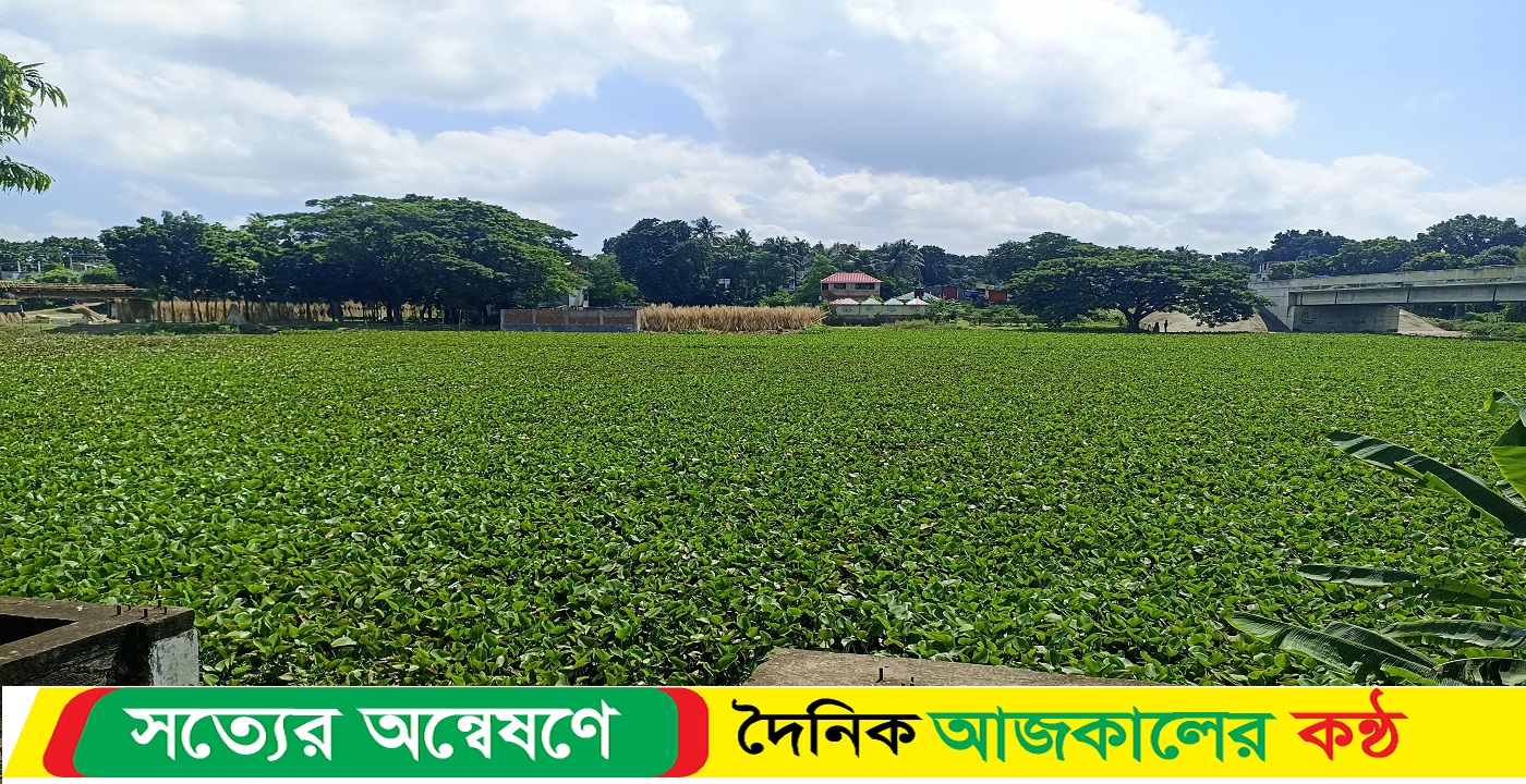 পরিকল্পনার অভাবে ঝিনাইদহ শহরবাসী বঞ্চিত হচ্ছে নবগঙ্গা নদীর অপরুপ সৌন্দর্য উপভোগ থেকে