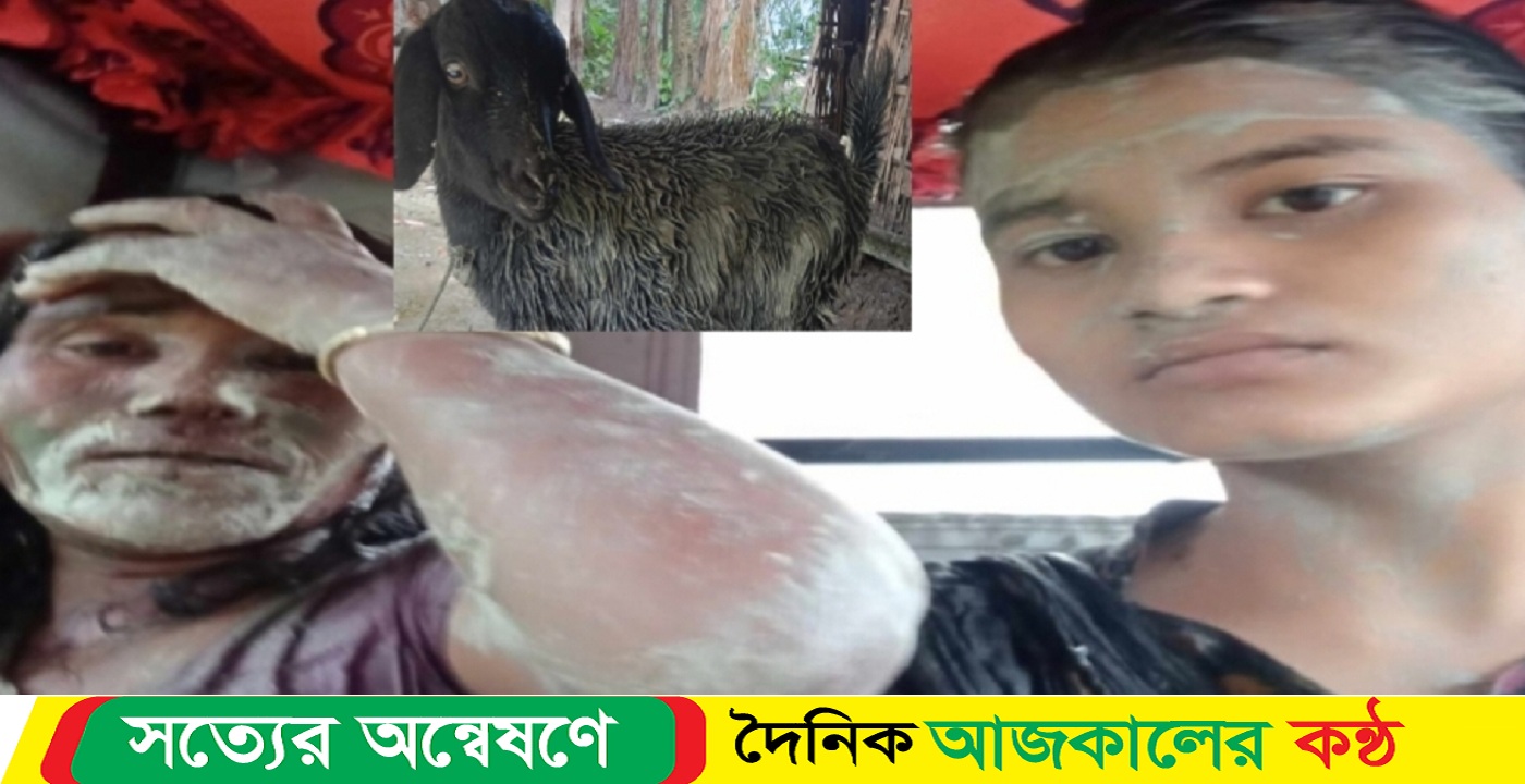 ছাগলে ধান খাওয়ায় নারীকে কোদাঁল ও দাঁ দিয়ে কুপিয়ে জখম
