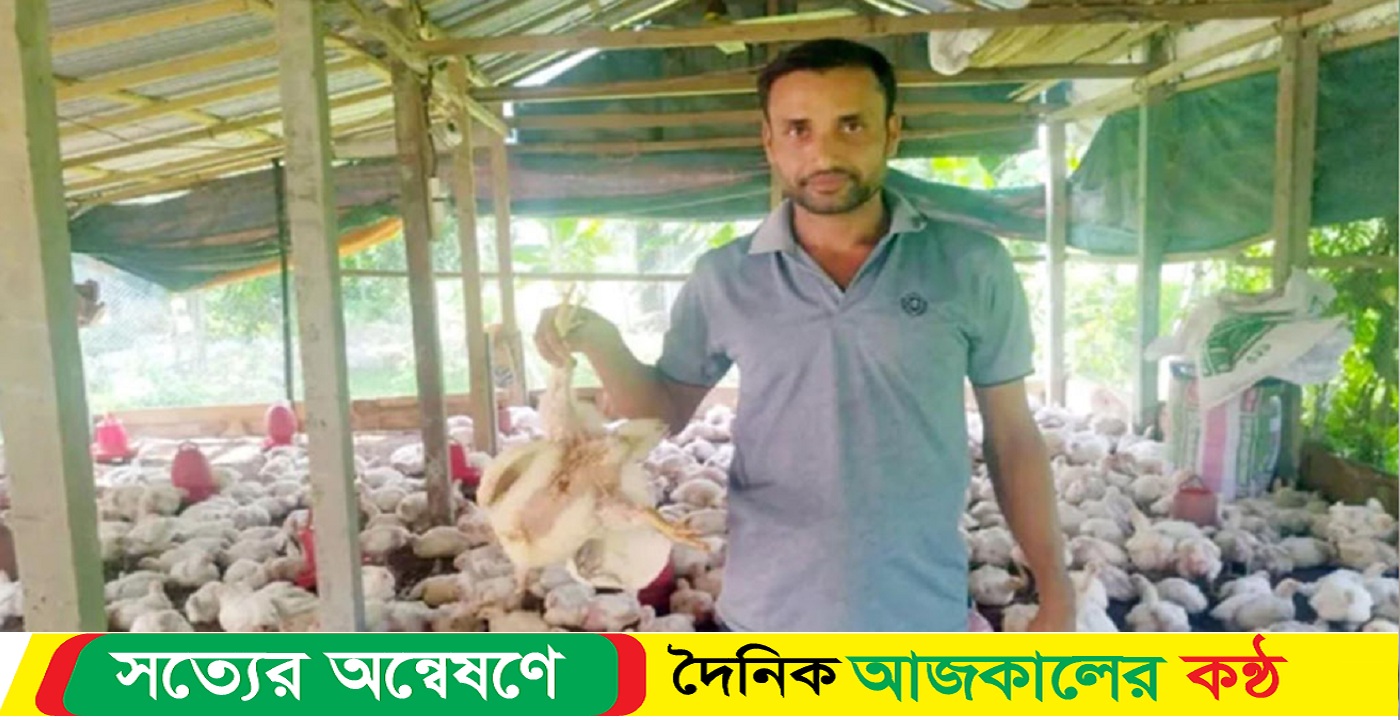 গরমে মা’রা যাচ্ছে মুরগি