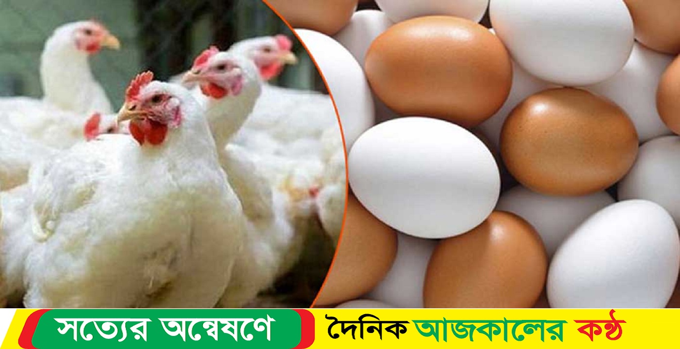 মিলছে না ডিম বেঁধে দেওয়া দামে, মুরগি