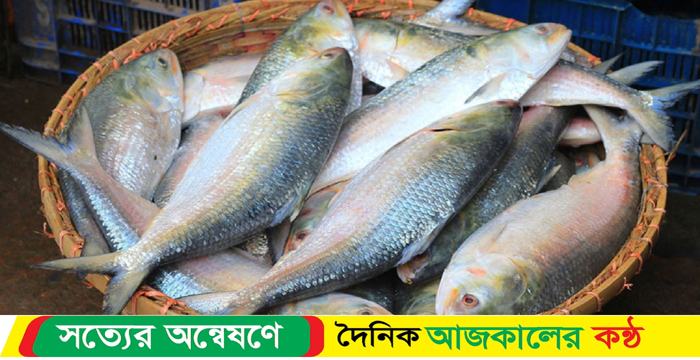 অবশেষে ইলিশ যাচ্ছে ভারতে ৩ হাজার টন