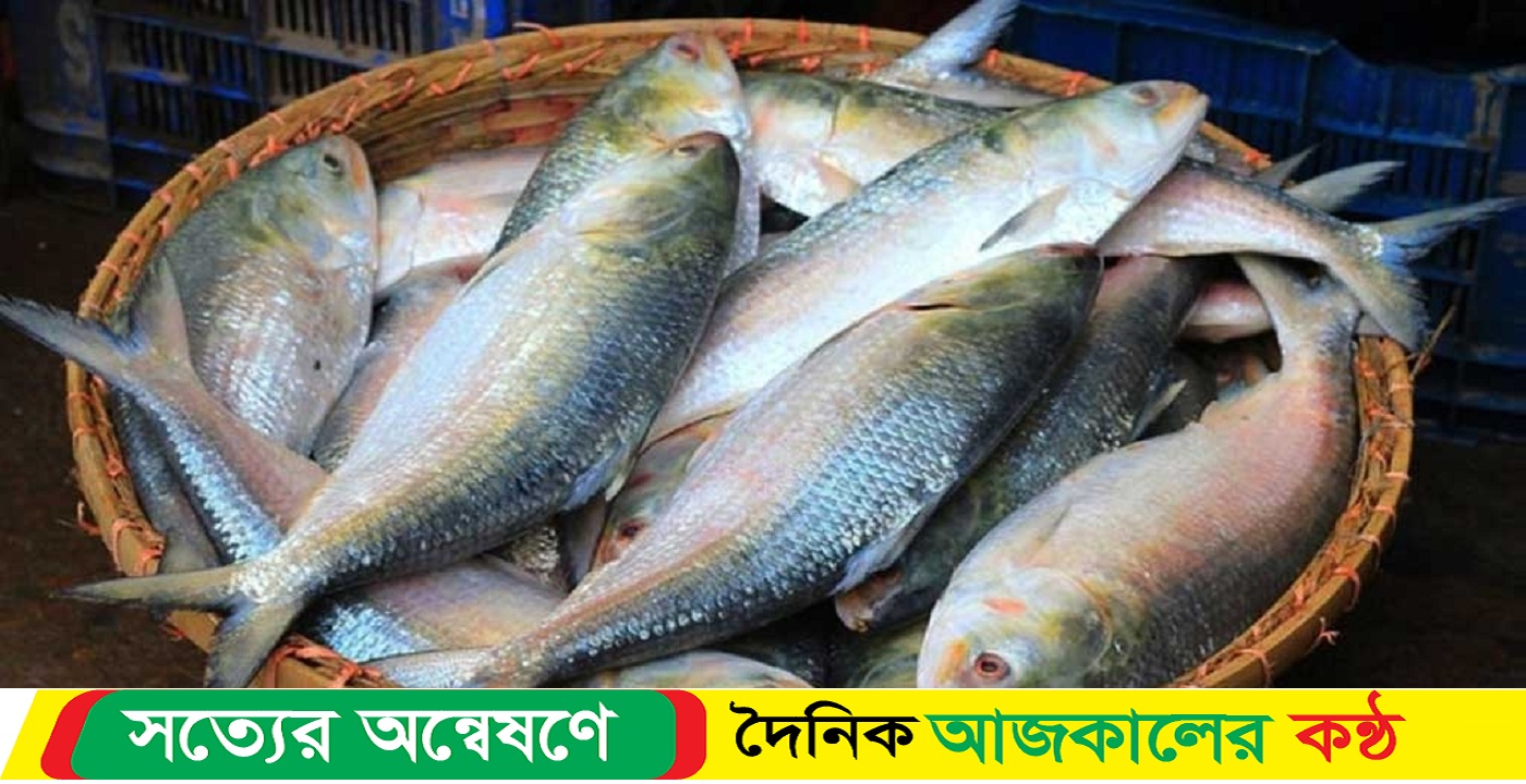 সরকারকে আইনি নোটিশ ভারতে ইলিশ রপ্তানি বন্ধে