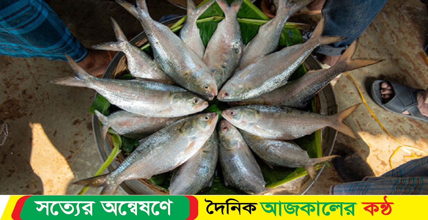 দুর্গাপূজার সঙ্গে ইলিশের কী সম্পর্ক