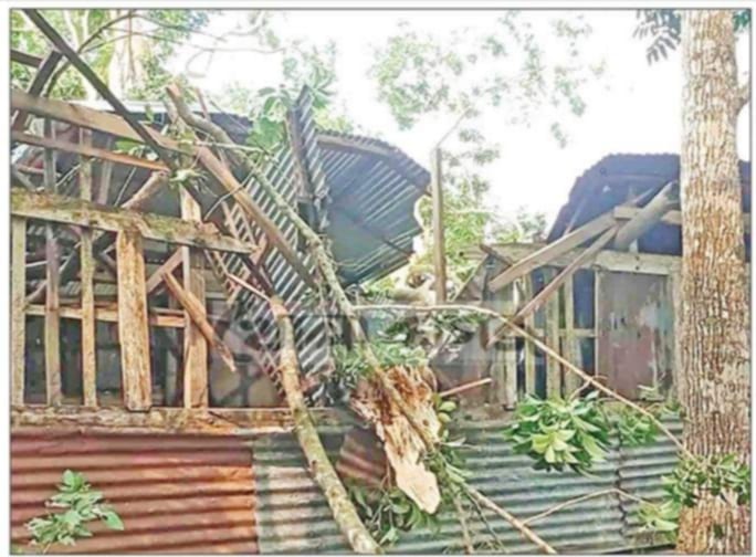 কাঠালিয়ায় ঘূর্ণিঝড় দানার তান্ডবে বাড়ী-ঘর, শিক্ষা প্রতিষ্ঠান ও বেরিবাঁধ বিধ্বস্ত