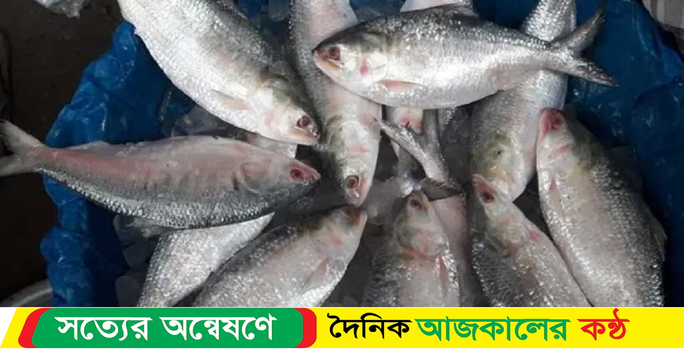 জেলেরা নদীতে নামলে ব্যবস্থা, মা ইলিশ সংরক্ষণ