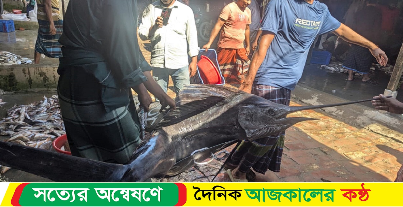 ৪৬ কেজি ওজনের পাখি মাছ, ৯ হাজার টাকায় বিক্রি