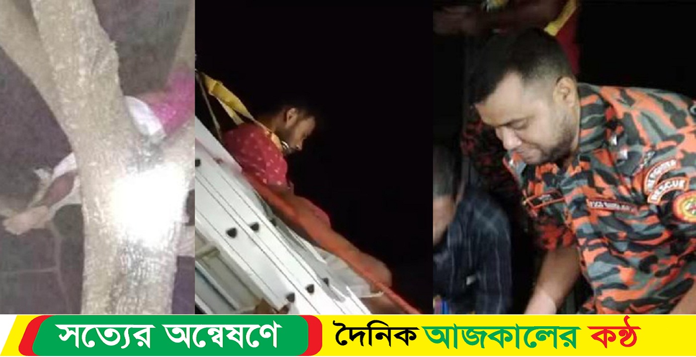 ৪০ ফুট উঁচু গাছের মগডালে থেকে উদ্ধারে করল ফায়ার সার্ভিস ভারসাম্যহীন যুবকে
