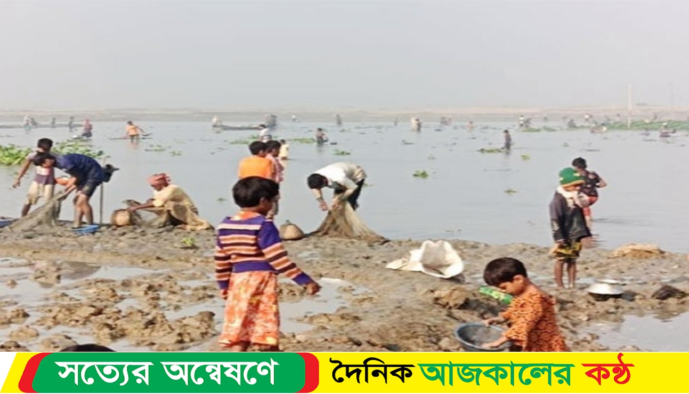 পোরশায় কীটনাশক প্রয়োগে ৩ লক্ষাধিক টাকার মাছ নিধন