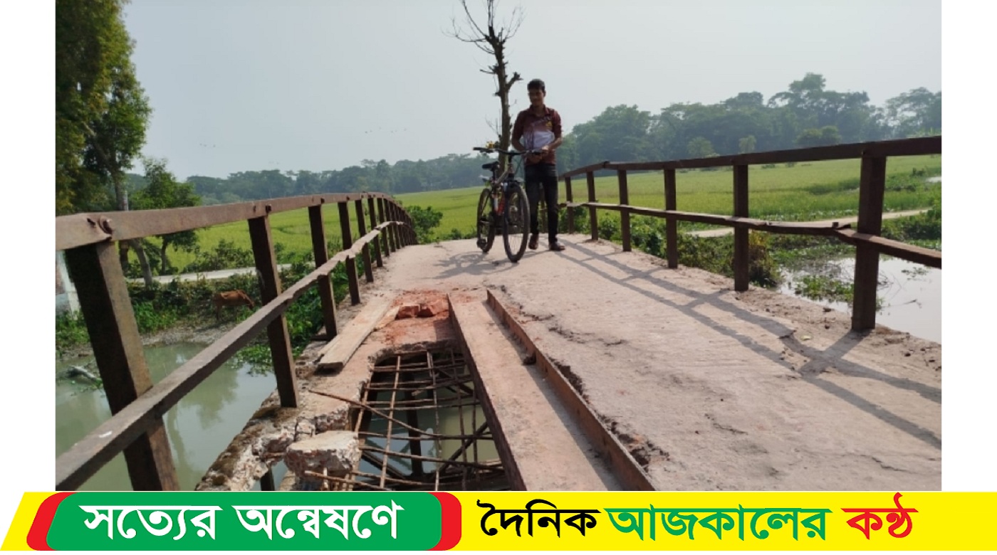 বাকেরগঞ্জের ভরপাশায় সেতু ভেঙ্গে যানবাহন চলাচল বন্ধ, দুর্ভোগে হাজারো মানুষ