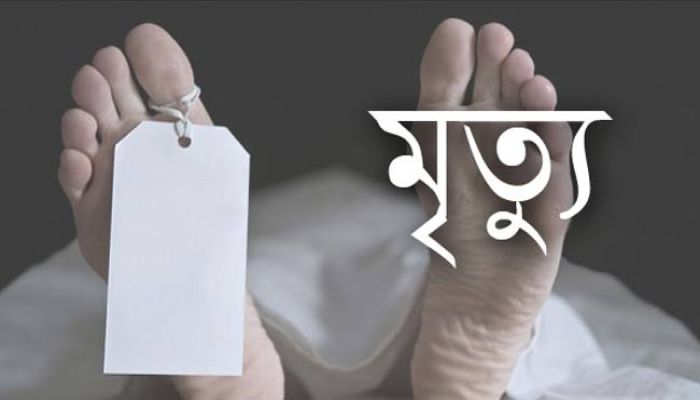 সুনামগঞ্জের জগন্নাথপুরে তুচ্ছ ঘটনার জেরে অতর্কিত হামলায় কিশোরের মৃত্যু,এলাকায় সুখের ছায়া