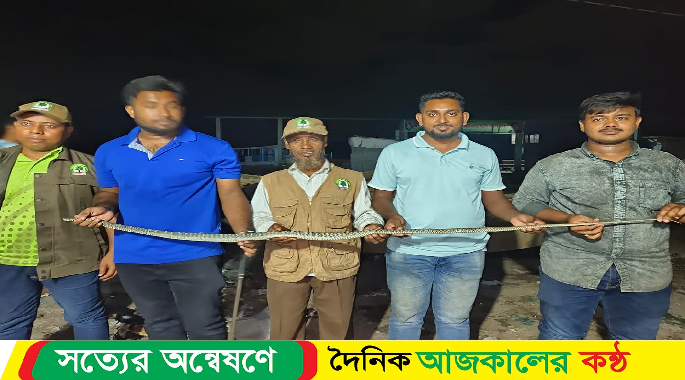 কলাপাড়ায় দাঁড়াশ ও পদ্ম গোখরা নামের দু’টি সাপ উদ্ধার