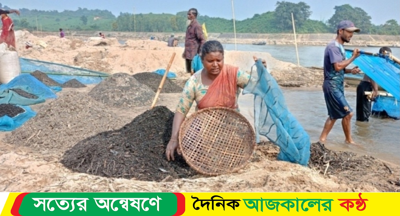 দুর্গাপুরে সোমেশ্বরী নদীর বালুর চরে কয়লা তুলে অনেকের সংসার চলে