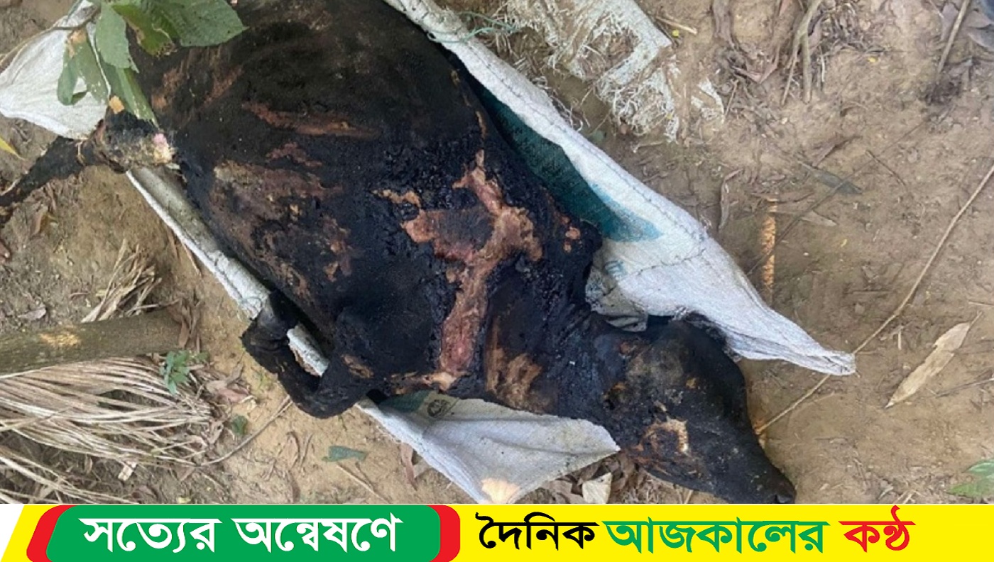 আগুনে পুড়ে ছাই হলো কৃষকের স্বপ্ন