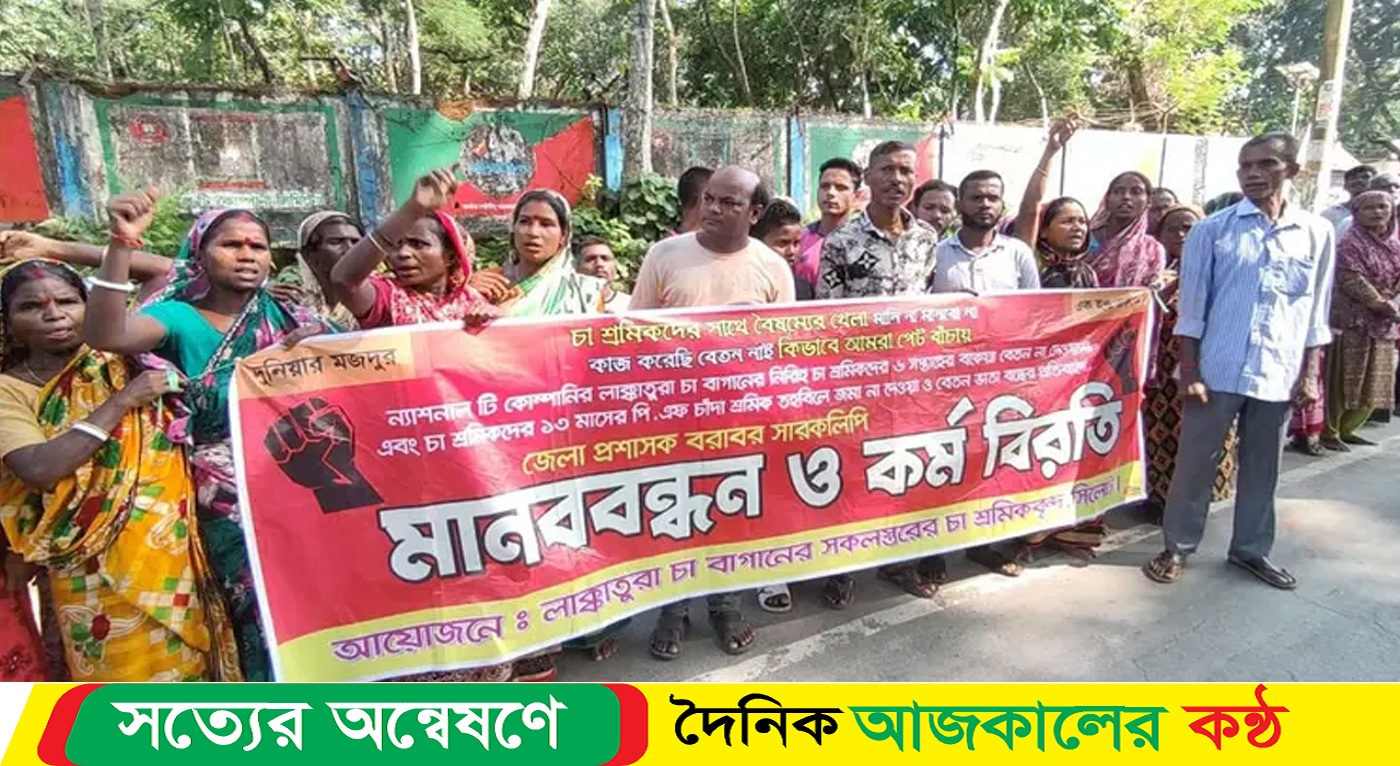 সিলেটের চা বাগানগুলোতে চা উৎপাদনে ব্যাপক ধস