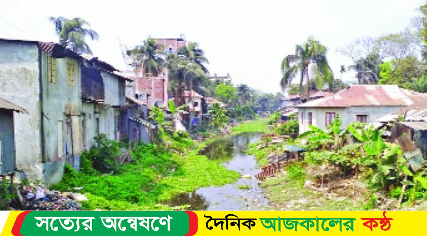 দশমিনায় সরকারি খাল দখল