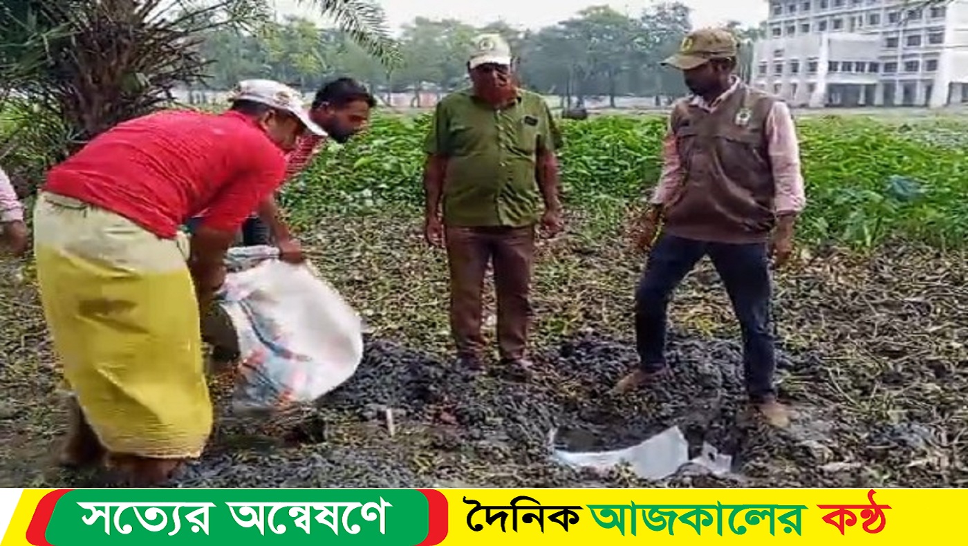 গলাচিপা জেলের জালে ৭০ কেজি ওজনের শাপলা আমপাতা মাছ