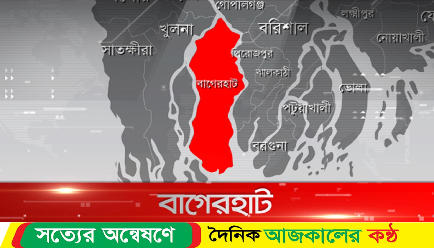 গাছ থেকে বিদ্যুৎপৃষ্ট হয়ে এক ব্যক্তির মৃ-ত্যু