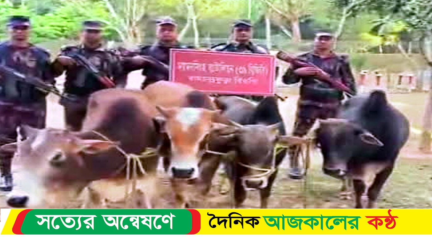 শেরপুর নালিতাবাড়ী সীমান্তে ভারত থেকে চোরাই পথে আনা ৪টি গরু জব্দ