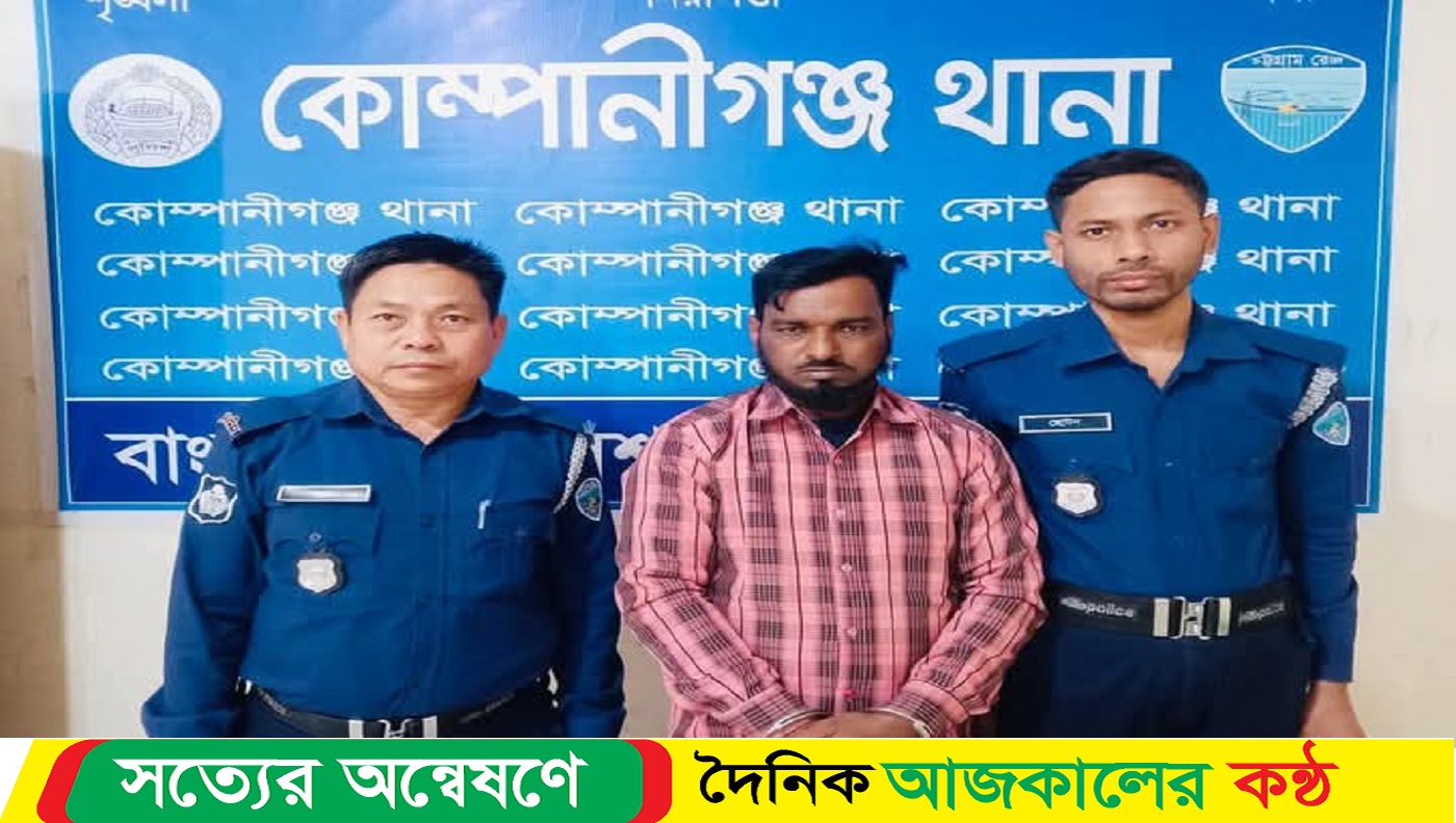 নোয়াখালীতে ২৭টি মামলার আসামি গ্রেফতার