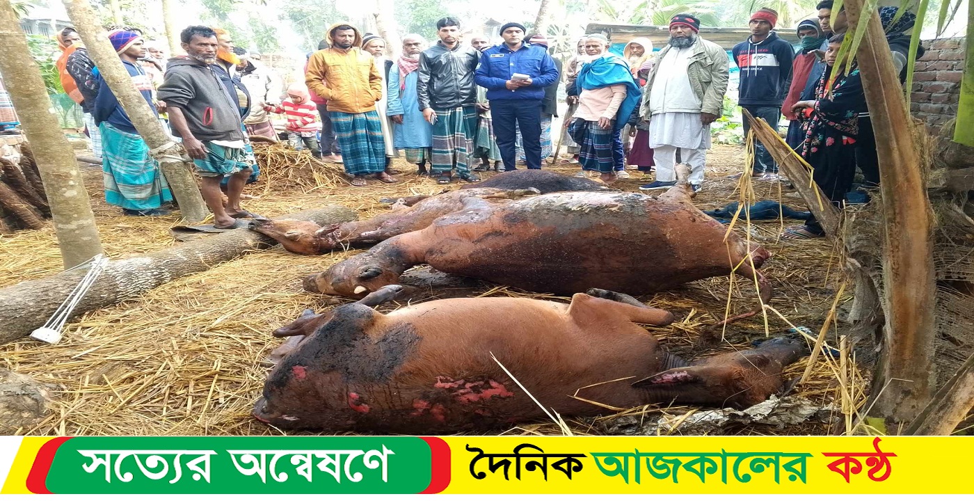 দুকিতে গরুসহ গোয়াল ঘড় পুড়ে ছাই