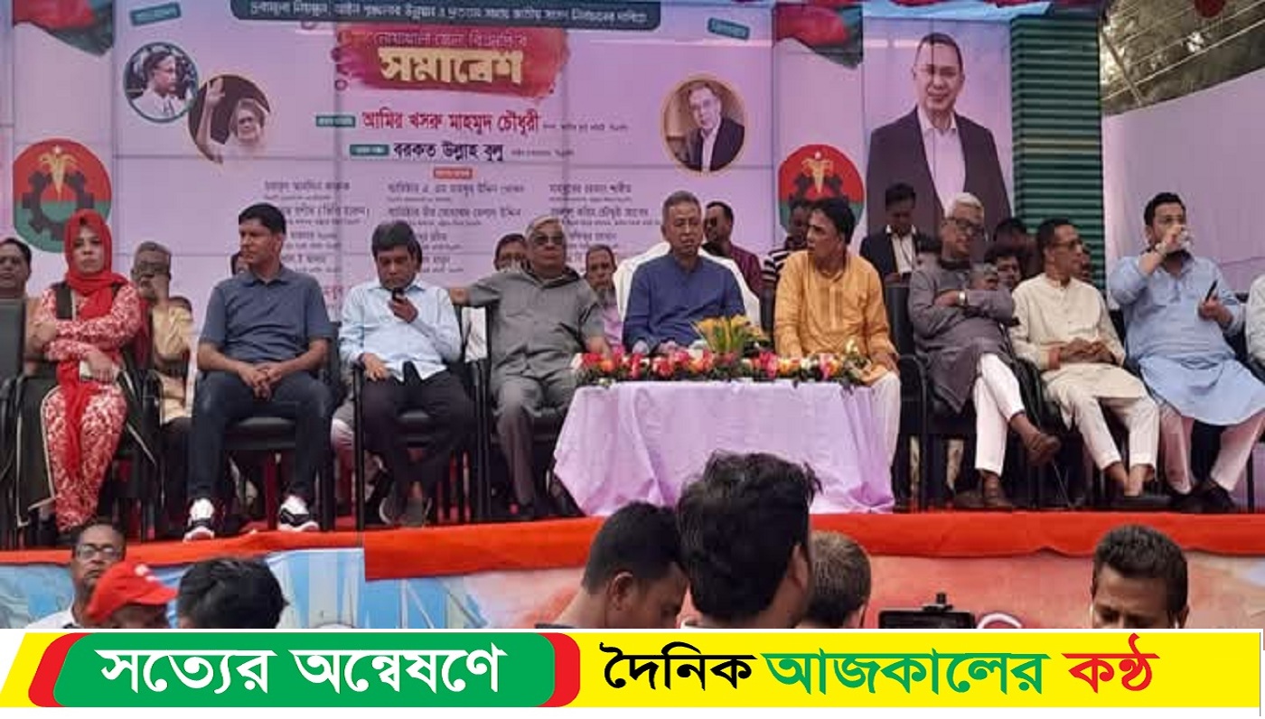 অন্তবর্তীকালীন সরকার ক্ষমতা দীর্ঘায়িত করতেই নির্বাচনে বিলম্ব করছে : আমীর খসরু
